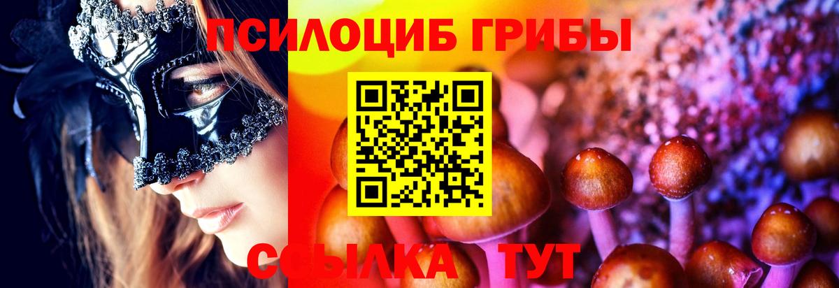 Топки  купить наркоту  Галлюциногенные грибы мухоморы  Вход с VPN  Псилоцибиновые грибы мухоморы 