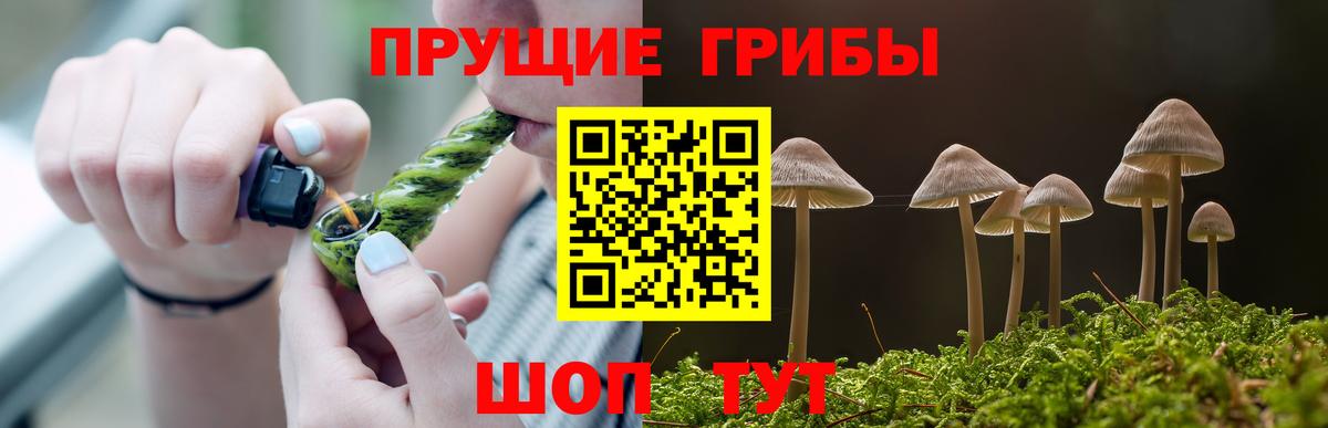 Галлюциногенные грибы Cubensis Топки